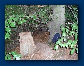 Better move that bag